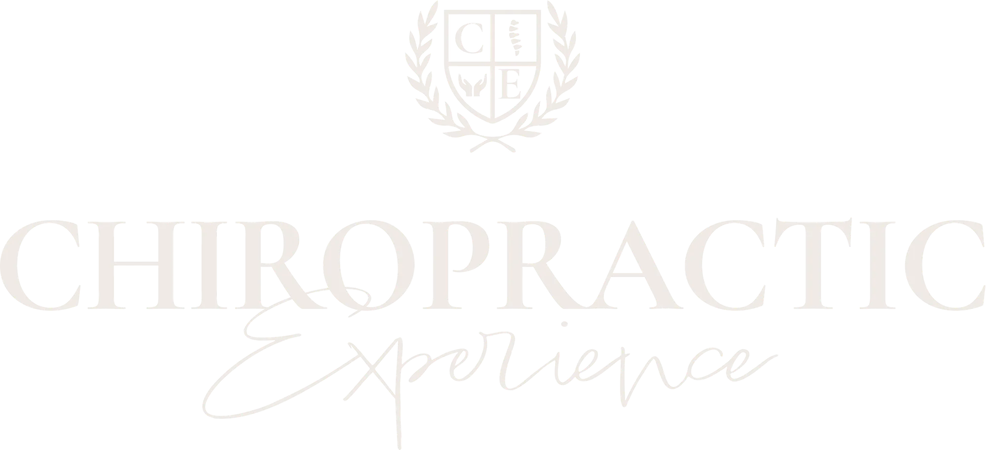 The Chiropractic Experience